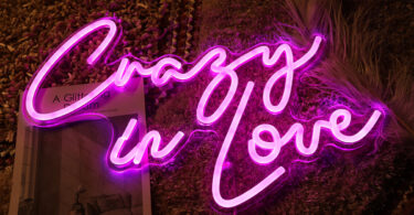crazy in love neon sign