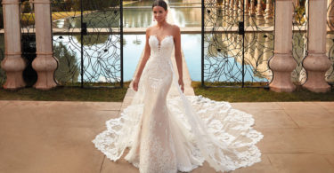 DEMETRIOS COLLECTION